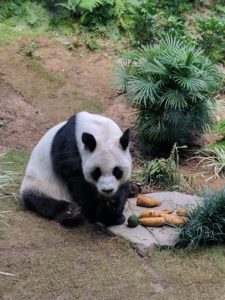 Leave me alone, I’m eating my dinner