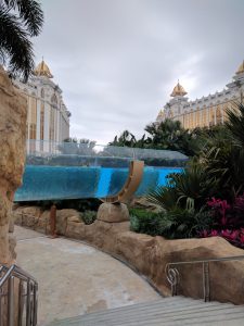 River Rapids on the “Promenade deck”. Sadly shut or I’d have had a bob!
